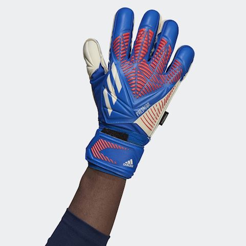 predator match goalkeeper gloves