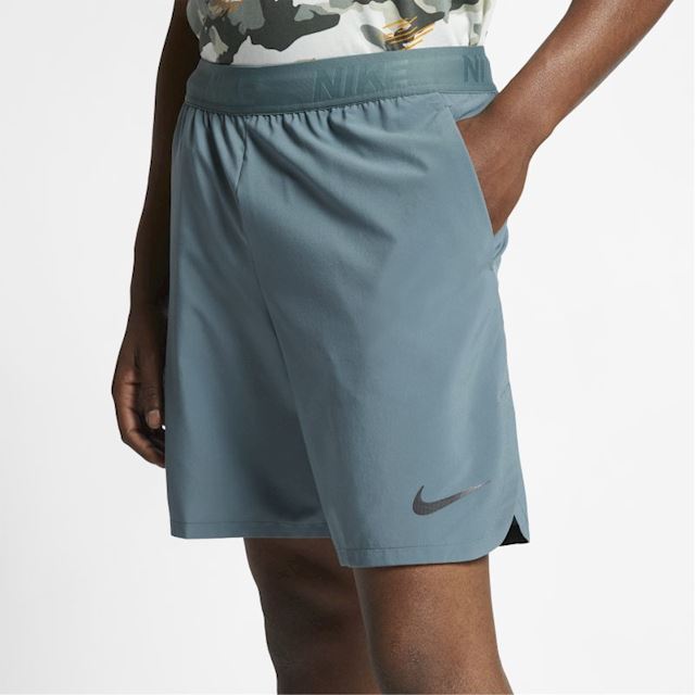 nike flex 21cm shorts