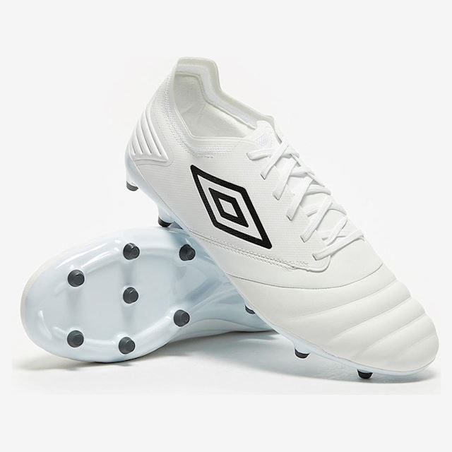 magista opus vs orden