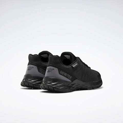 Reebok Astroride Trail GTX 2.0 Shoes 