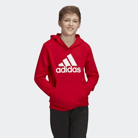 must haves badge of sport hoodie