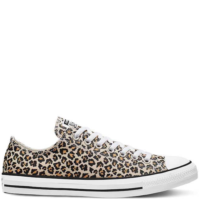 asos leopard print converse