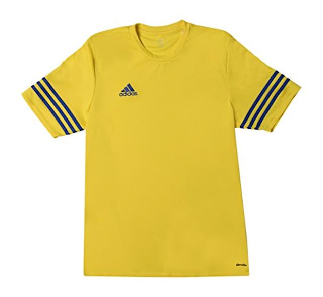 adidas entrada 14 jersey yellow