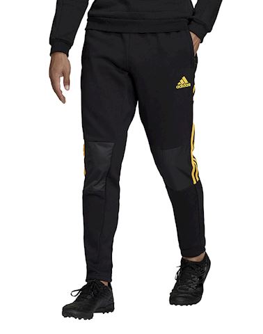 adidas pants gold