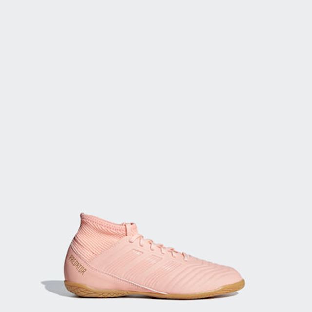 pink predators indoor