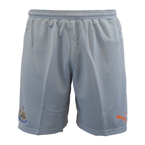 puma shorts 2015