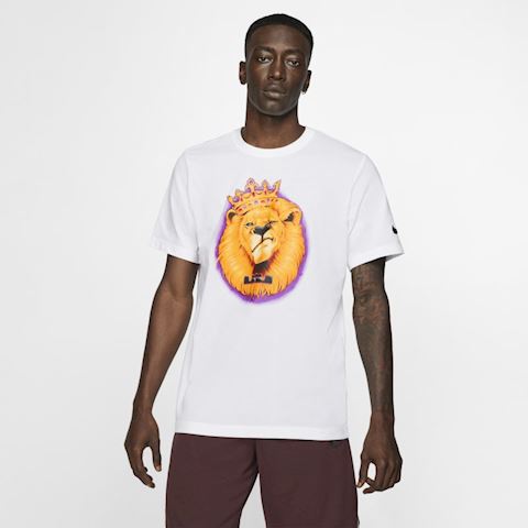 dri fit lebron shirt