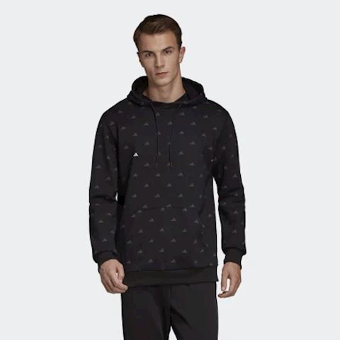 adidas the pack hoodie