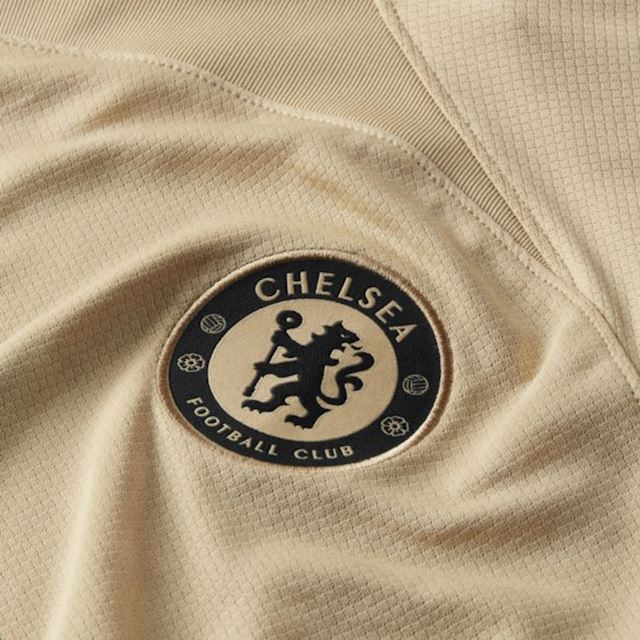 Nike Chelsea Mens SS Third Shirt 2022/23 | DN2712-253 | FOOTY.COM