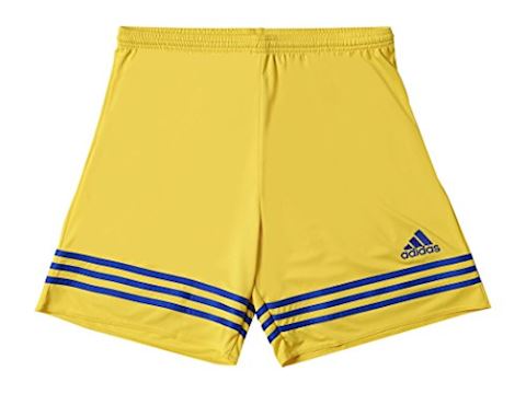 adidas cobalt shorts