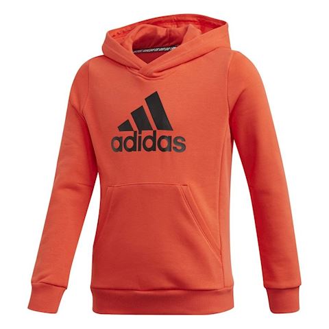 youth adidas hoodie