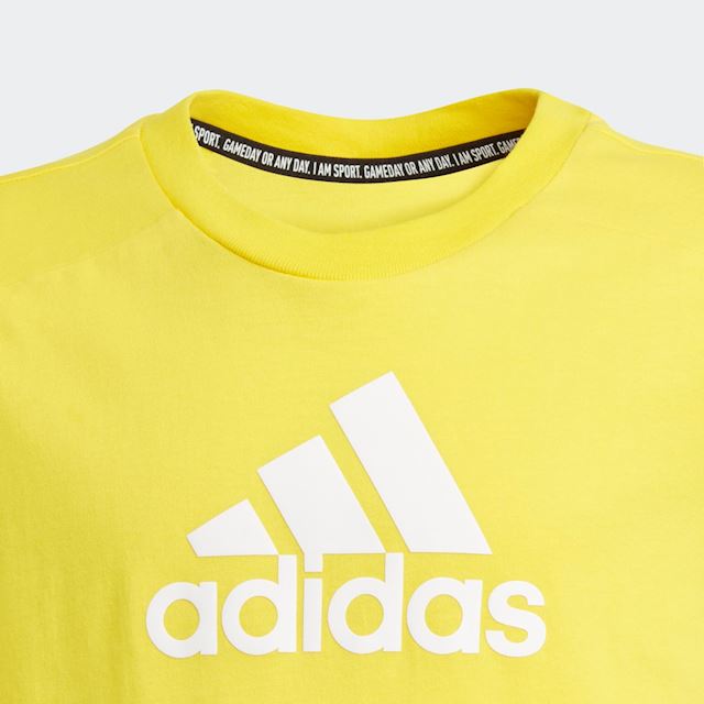 adidas Logo T-Shirt | GJ6642 | FOOTY.COM