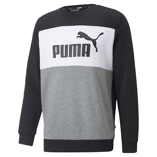 Puma Essentials+ Colourblock Crewneck Sweatshirt Men | 670165_01 ...