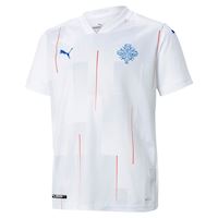 iceland football shirt